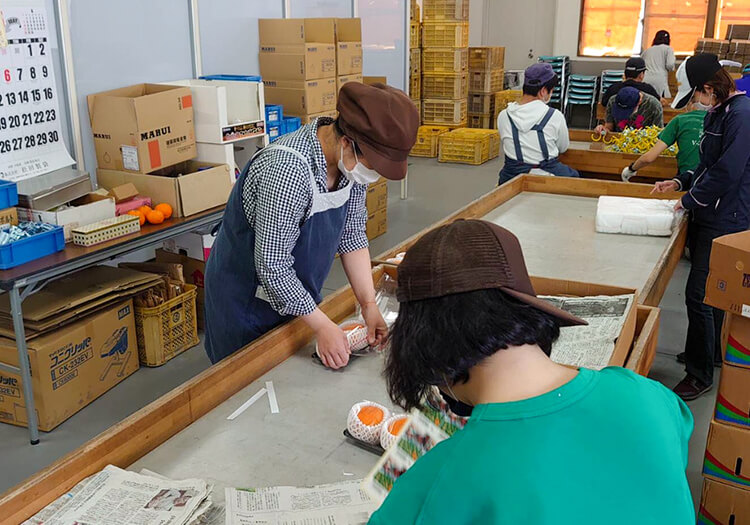 野菜・果物の袋詰め