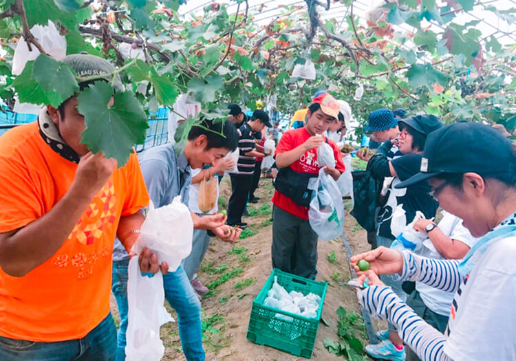 農園（湯来町）での農作業